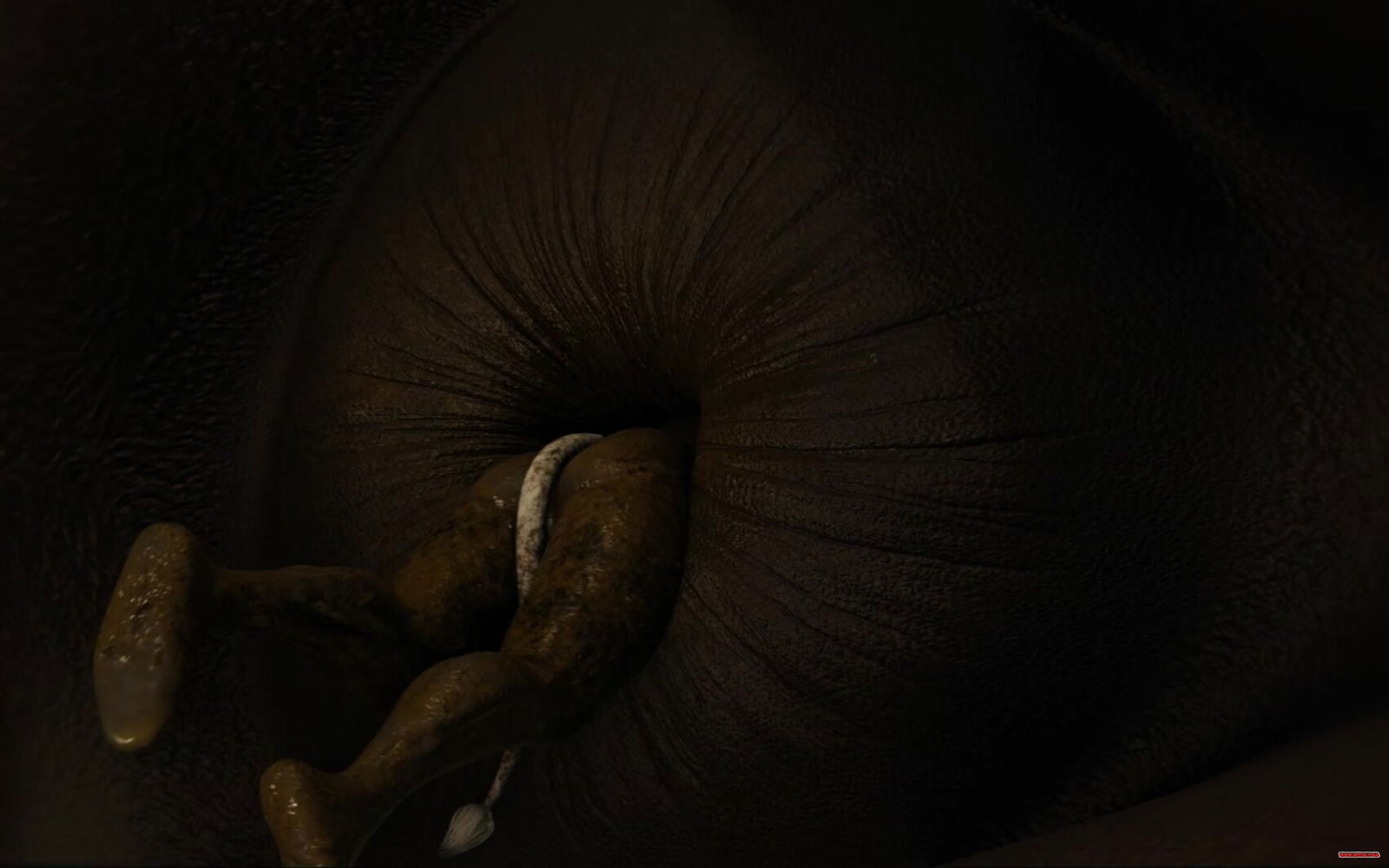 Anal vore by ral3d - Free hentai video