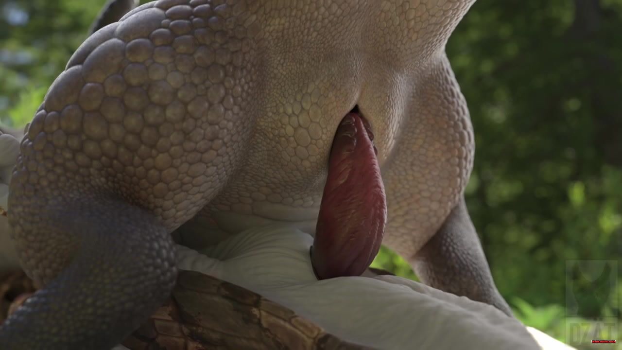 FURRY LIZARD FOREST RIDE (DZÄT) - Free hentai video