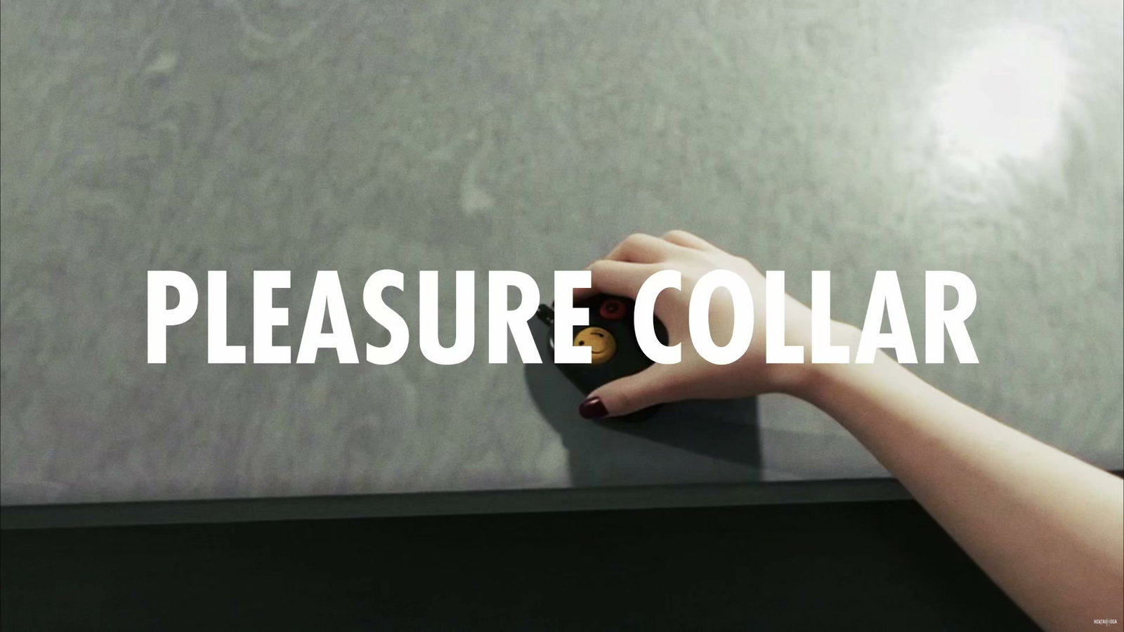 PLEASURE COLLAR | ANIMATION RELEASE - Free hentai video