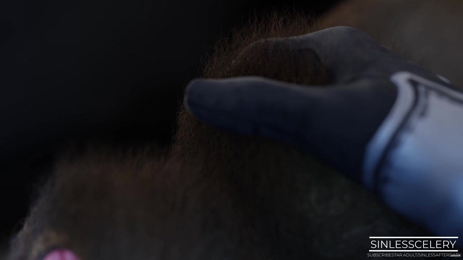 Sexpedition 34 Episode 1 - Free hentai video