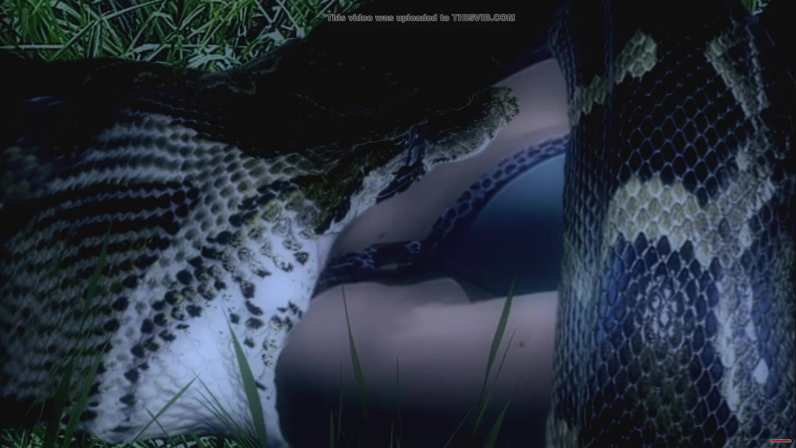 Snake swallows woman headfirst - Free hentai video