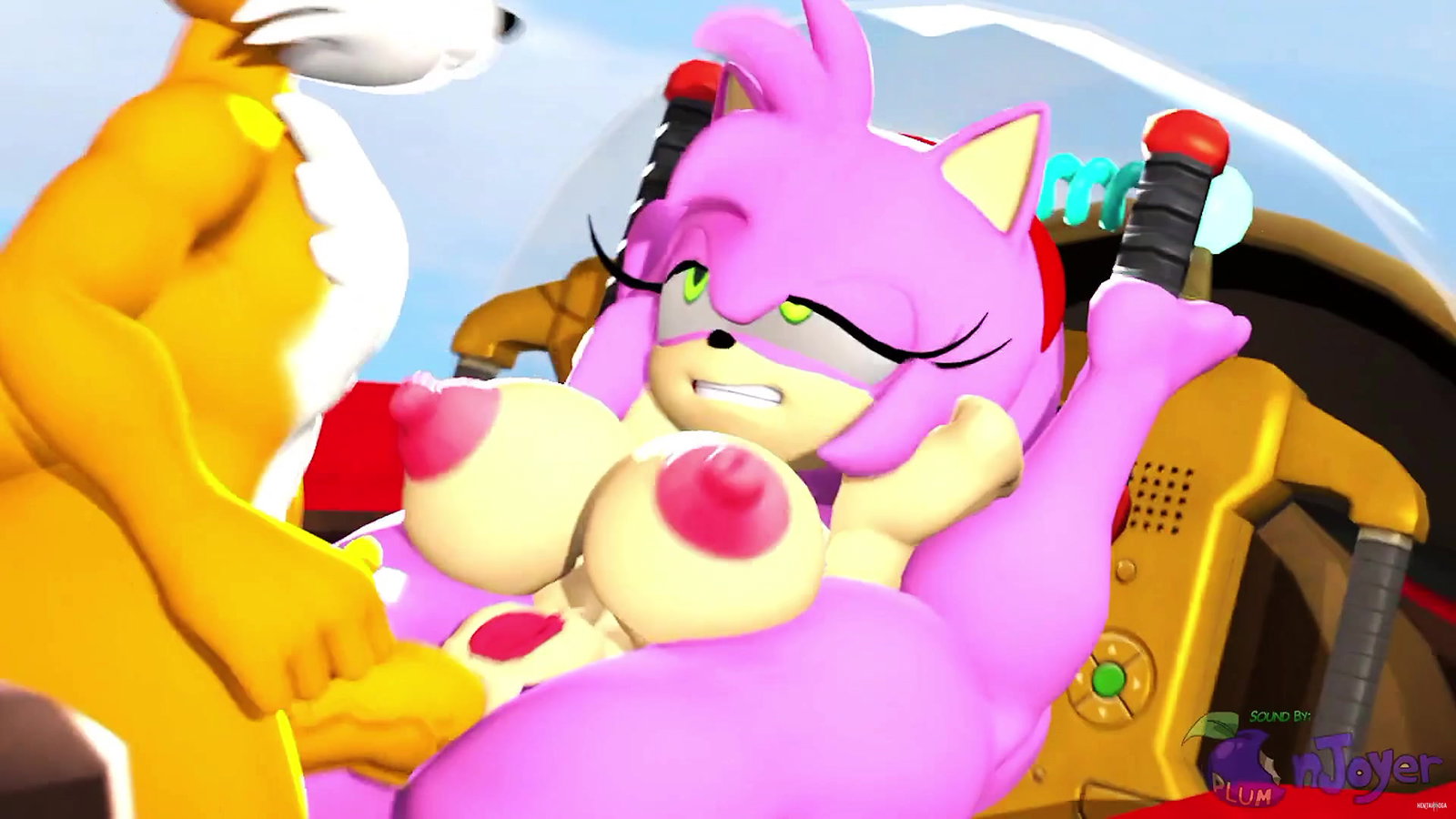 Tails and Amy In Air Flyer - Free hentai video