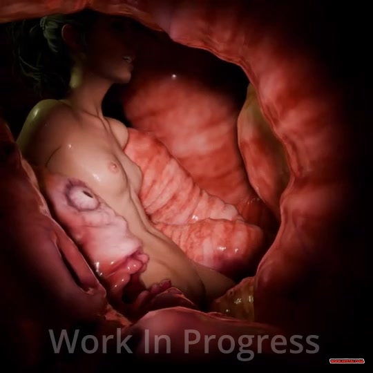 WIP Admirer - Free hentai video